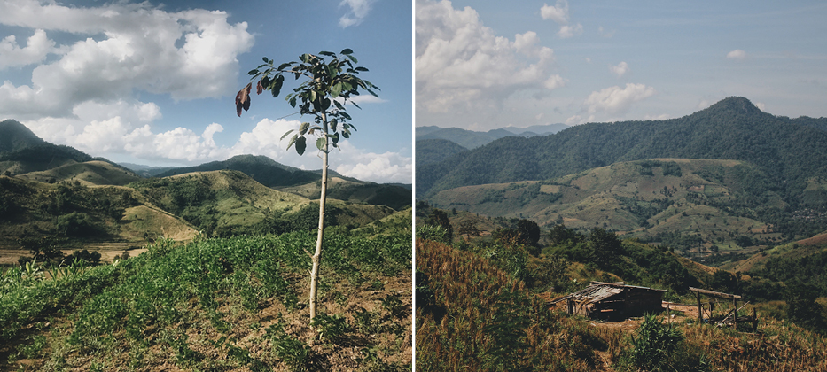 Thailand &ndash; Hilltribes Forestry and Agroforestry 2