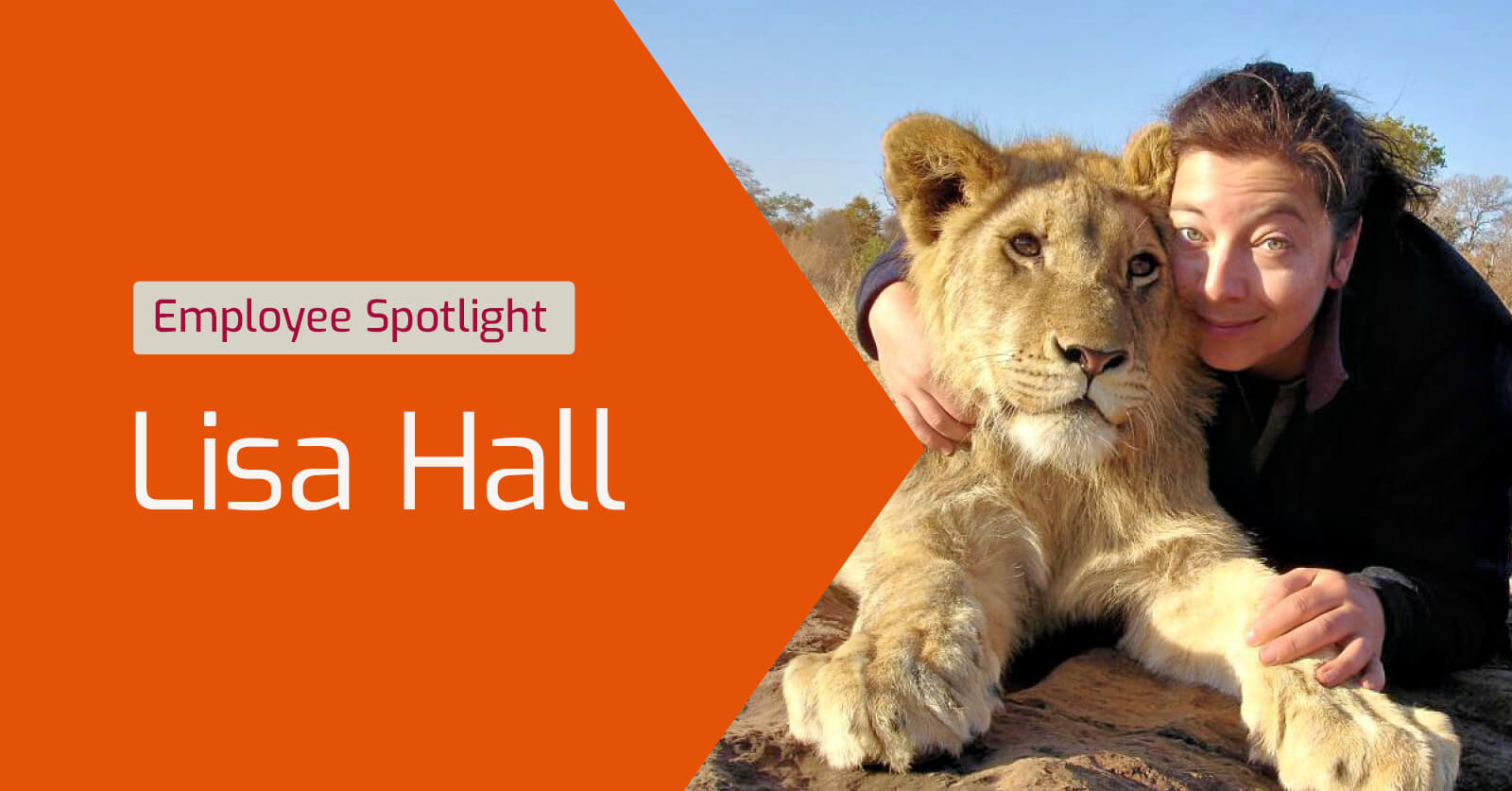 Lisa Hall - Employee Spotlight
