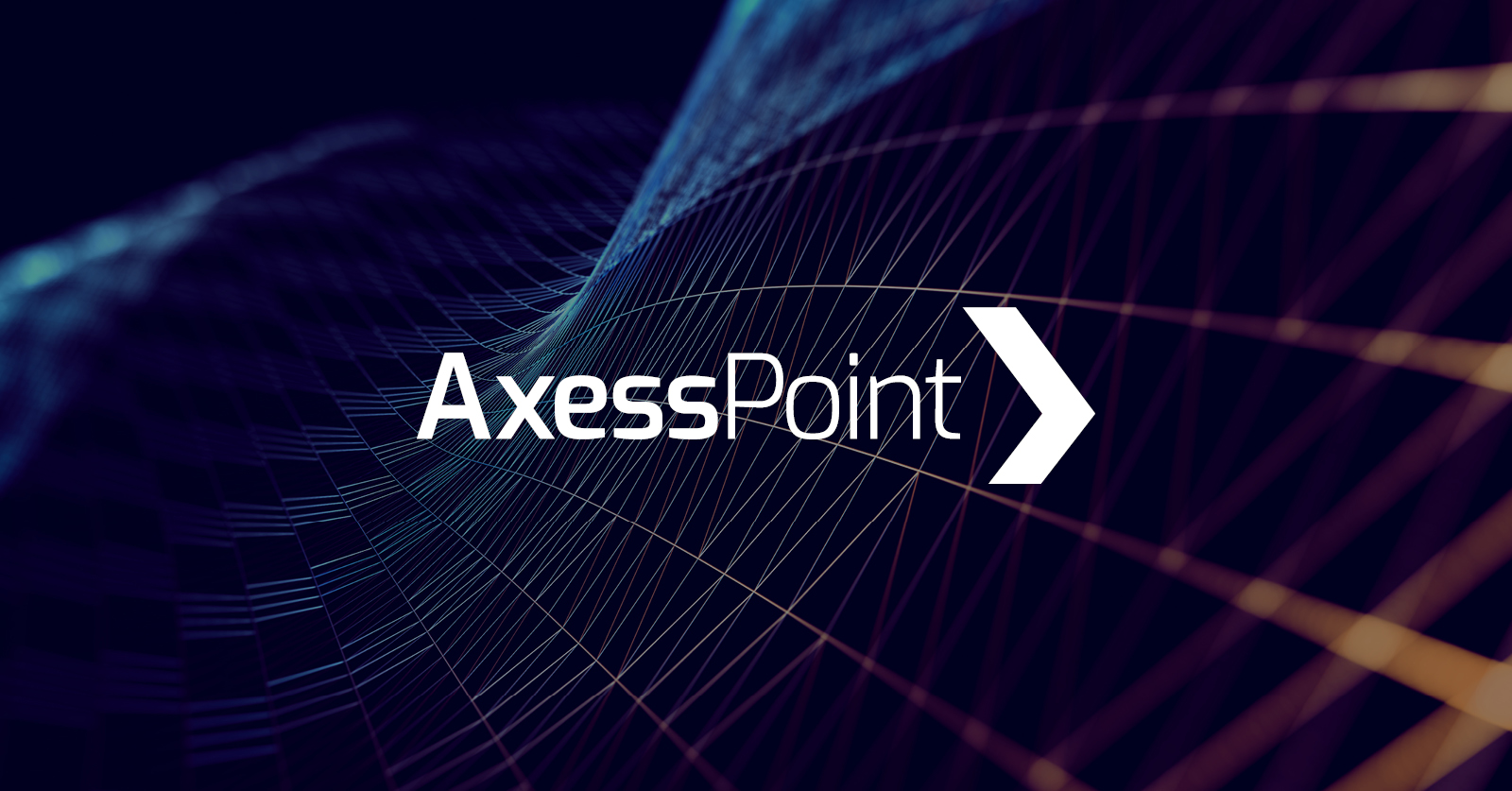 AxessPoint-Supporting-Img-4.jpg