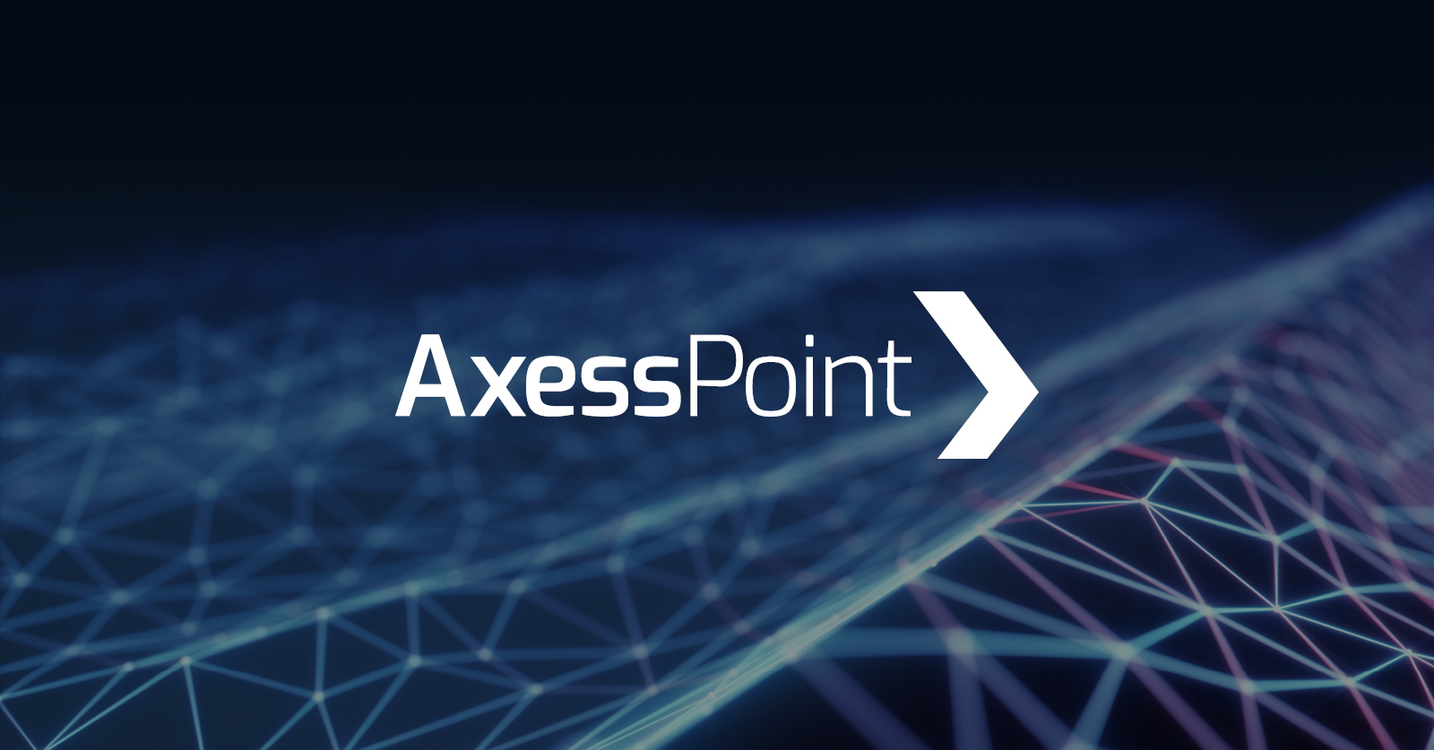 AxessPoint-Supporting-Img-3.jpg 